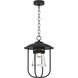 Erlenmeyer 1 Light 12.1 inch Coastal Black Outdoor Pendant