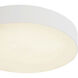 Rynn 5.25 inch White Flush Mount Ceiling Light