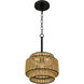 Teton 1 Light 10 inch Matte Black Mini Pendant Ceiling Light