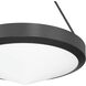 Agate 4 Light 20 inch Matte Black Pendant Ceiling Light