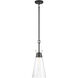 Lakewood 1 Light 8 inch Matte Black Pendant Ceiling Light, Essentials