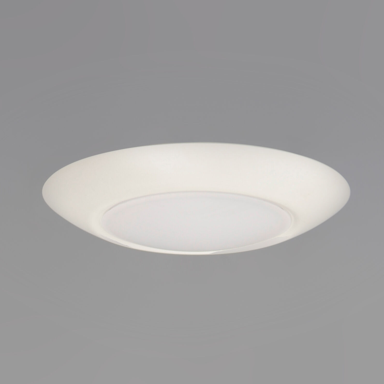 Diverse LED 8 inch White Flush Mount Ceiling Light