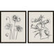 Garden Sketch Black and Beige and Neutral and White Framed Art