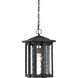 Everglade 1 Light 10.5 inch Earth Black Outdoor Hanging Lantern