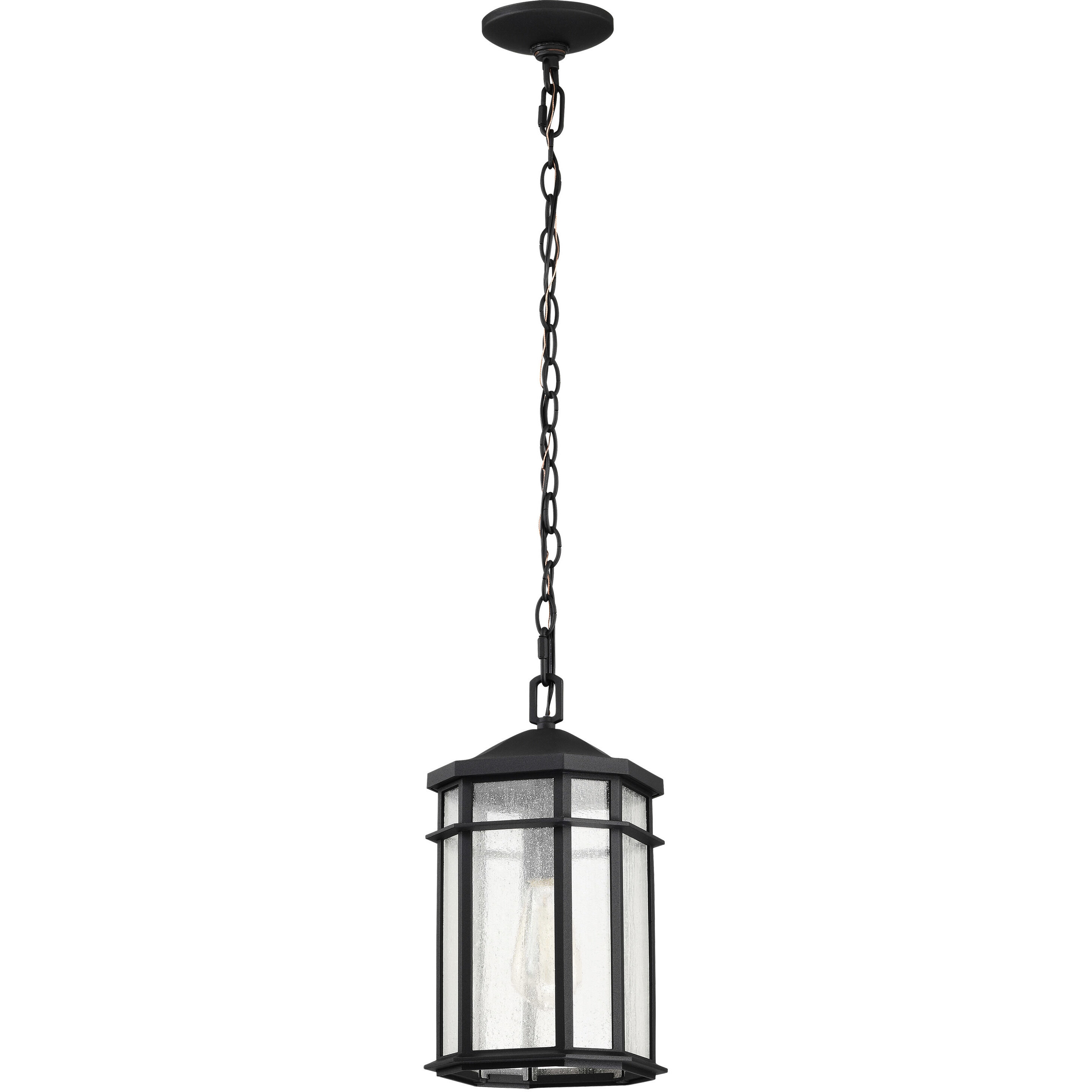 Raiden 8 inch Matte Black Outdoor Hanging Lantern