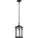 Raiden 8 inch Matte Black Outdoor Hanging Lantern