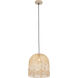 Indy 1 Light 16 inch Natural Pendant Ceiling Light