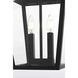 Frankford 2 Light 12 inch Black Outdoor Pendant
