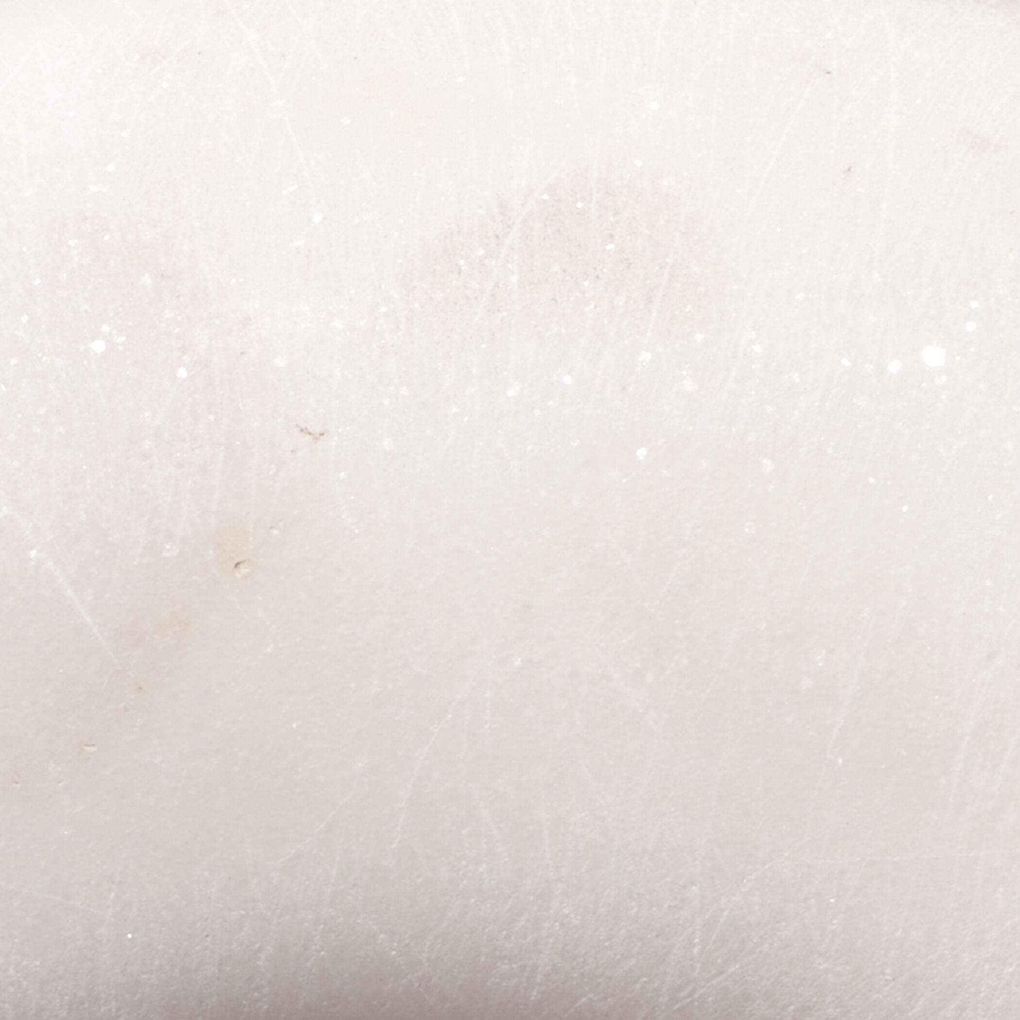 Ostrich White Decorative Object