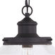 Collins LED 10 inch Matte Black Outdoor Pendant