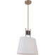 Parker 1 Light 10.43 inch Fired Steel/Satin Brass Pendant Ceiling Light