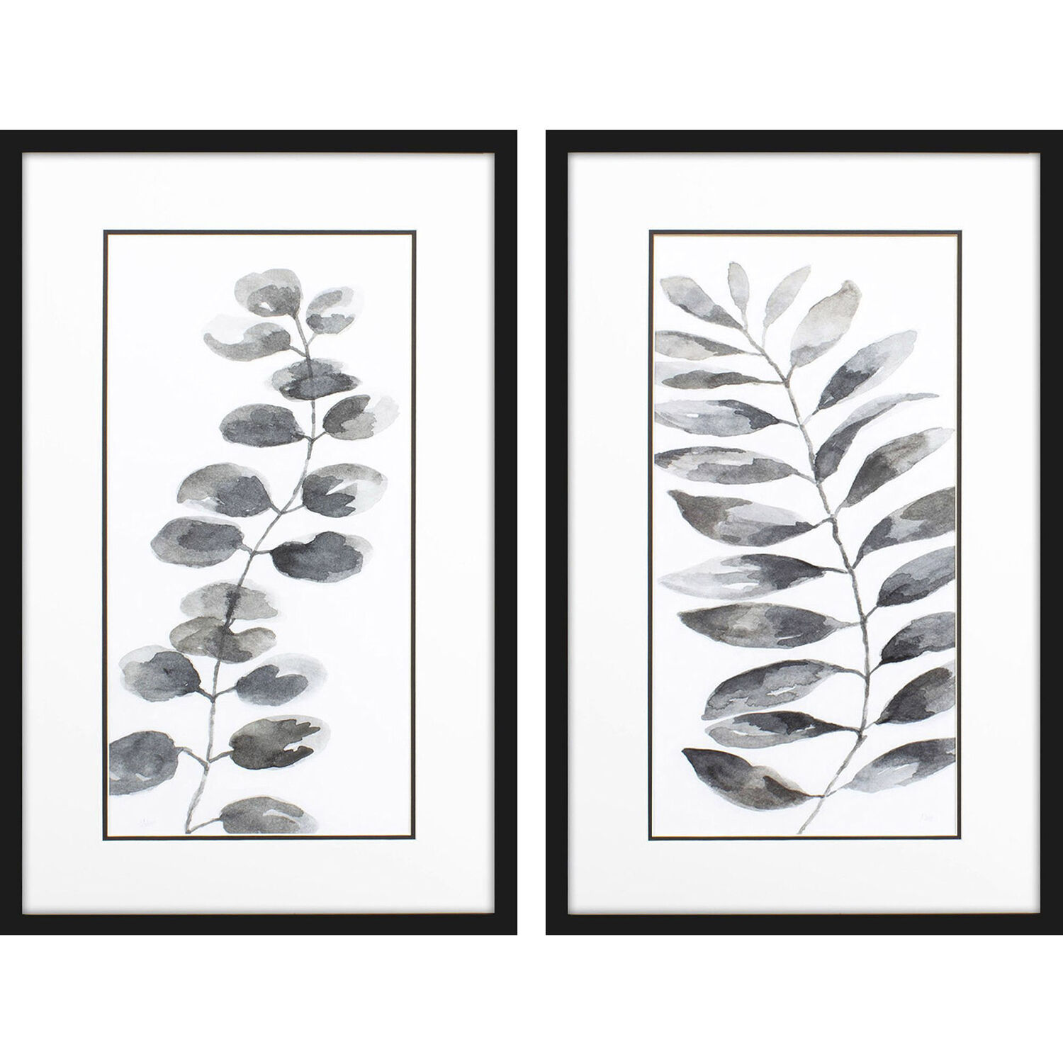 Florals Black and White and Neutral Framed Art, Propac