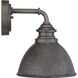 Englewood 1 Light 10 inch Antique Pewter Outdoor Wall Lantern, Small
