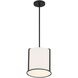 Carlyn 1 Light 10 inch Black Mini Pendant Ceiling Light