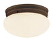 Dash 2 Light 10 inch Rubbed Oil Bronze Flushmount Ceiling Light