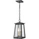 Kirkdale 2 Light 9 inch Matte Black with Natural Brass Outdoor Pendant
