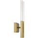 Benicio Wall Sconce Wall Light in Gold