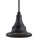 Hampshire 1 Light 12 inch Textured Black Outdoor Hanging Pendant