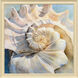 Center Shell Blue and Beige and Turquoise Framed Art