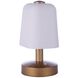 Rechargable Portable 9 inch 5 watt Painted Satin Brass Table Lamp Portable Light