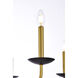 Cohen 6 Light 42 inch Black and Brass Pendant Ceiling Light