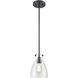Emma 1 Light 6.5 inch Ebony Pendant Ceiling Light in Clear Glass