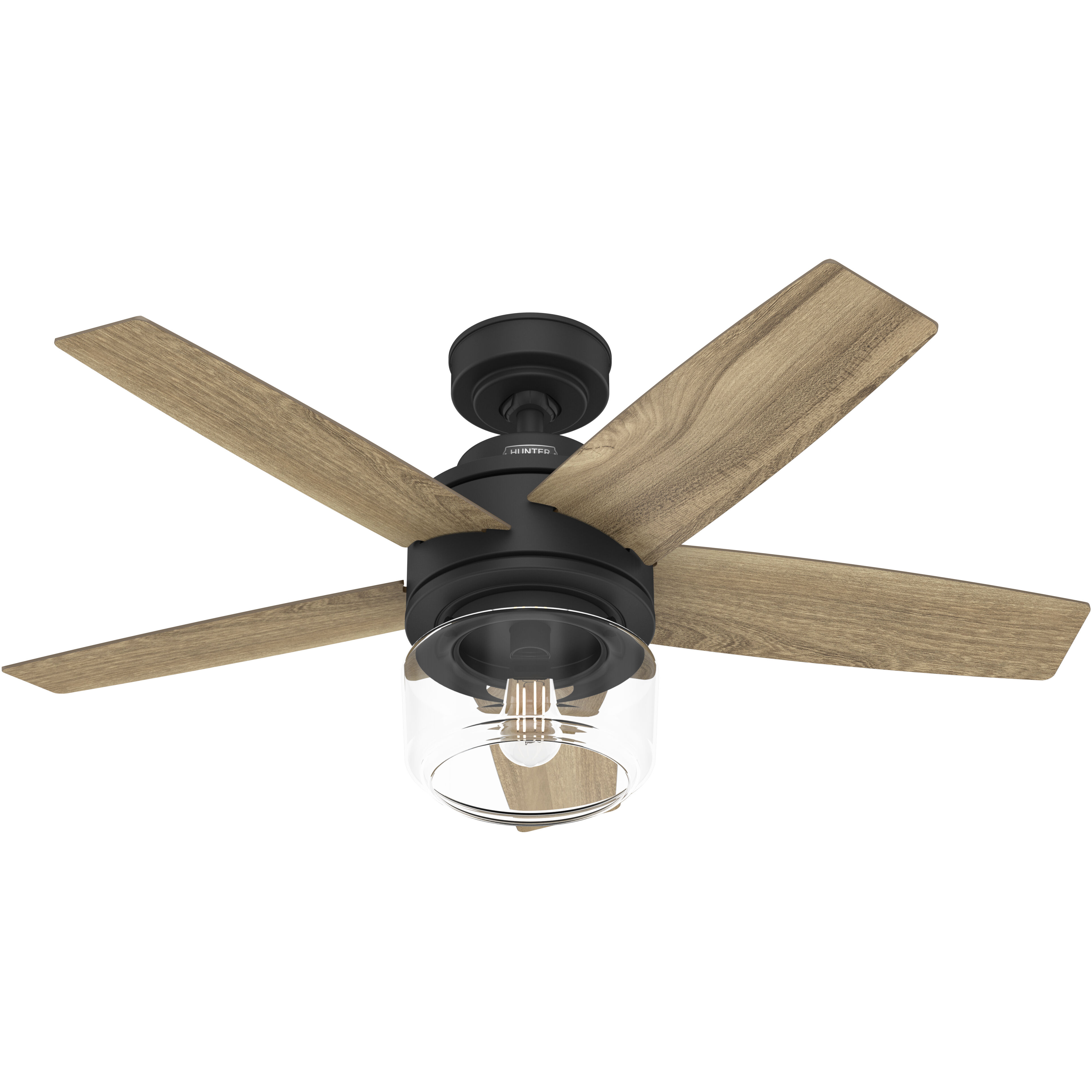 Margo 44 inch Matte Black with Golden Maple Blades Ceiling Fan