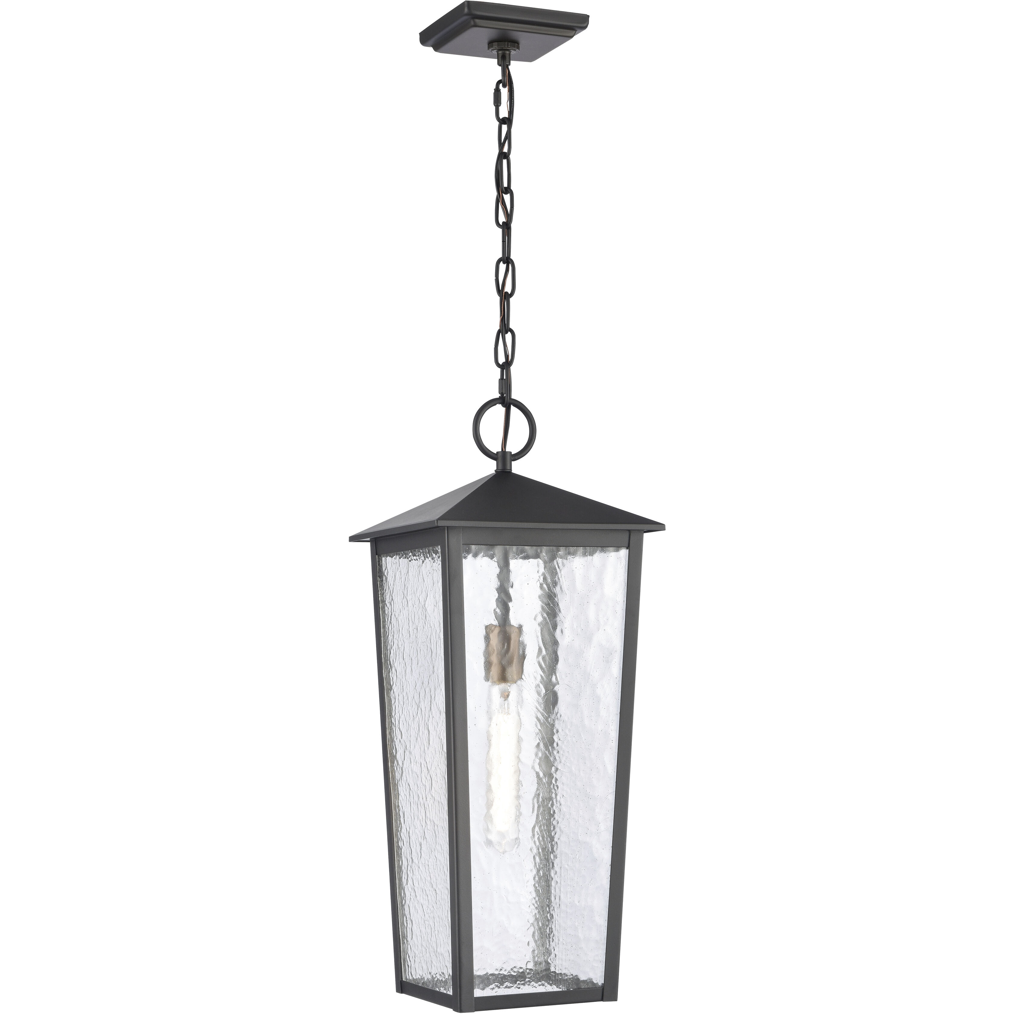 Marquis 1 Light 9 inch Matte Black with Chemical Oz and Clear Outdoor Pendant