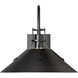 Henry 1 Light 12.8 inch Coastal Black Outdoor Sconce, Large