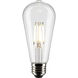 Lumos LED Medium Medium 5.00 watt 3000K LED Filament