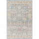 Chicago 35 X 23 inch Rug, Rectangle