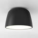 Taiko 2 Light 11.81 inch Matte Black Interior Ceiling Light