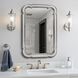 Artemis 36 X 24 inch Champagne Mirror