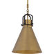 Fenric 1 Light 13.75 inch Legacy Brass and Dark Bronze Pendant Ceiling Light