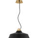 Sean Lavin Forge LED 18 inch Natural Brass Line-Voltage Pendant Ceiling Light in Nightshade Black