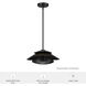 Hiro 1 Light 12.75 inch Matte Black Pendant Ceiling Light, Large