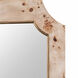 Farra 54 X 28 inch Poplar Burl with Weathered Brass Wall Mirror, Varaluz Casa