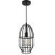 Alethia 1 Light 7 inch Black Down Mini Pendant Ceiling Light