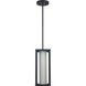 Adler 1 Light 6 inch Black Outdoor Pendant