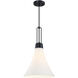 Evergreen Oasis LED 12 inch Matte Black Down Pendant Ceiling Light