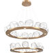 Gem LED 48.7 inch Novel Brass Chandelier Ceiling Light, Two-Tier Ring