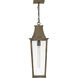 Coastal Elements Georgetown 1 Light 8.5 inch Burnished Bronze Outdoor Hanging Light