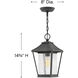 Palmer 1 Light 8 inch Museum Black Outdoor Hanging Lantern