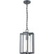 Bianca 1 Light 8 inch Aged Zinc Outdoor Pendant
