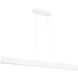 Form Dual LED 2 inch Matte White Pendant Ceiling Light