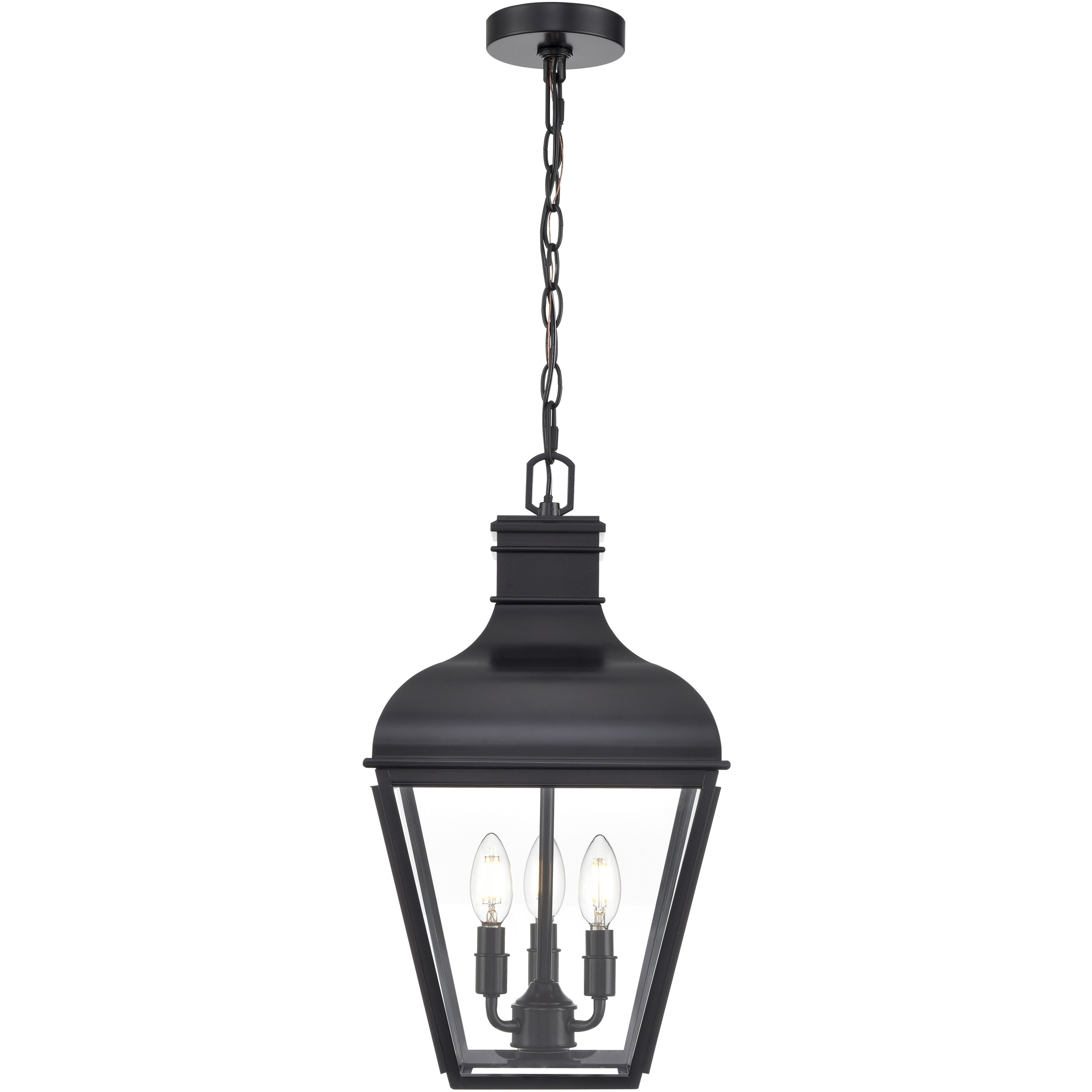 Edenton 3 Light 11 inch Matte Black Outdoor Hanging Pendant