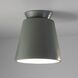 Radiance Collection 1 Light 7.5 inch Pewter Green Outdoor Flush-Mount