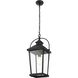 Luz 1 Light 9 inch Black Outdoor Pendant
