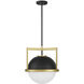 Carlysle 1 Light 15 inch Black with Warm Brass Accents Pendant Ceiling Light