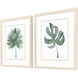 Plant Press Green Framed Art, Propac